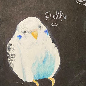 Meet your Posher, Lea